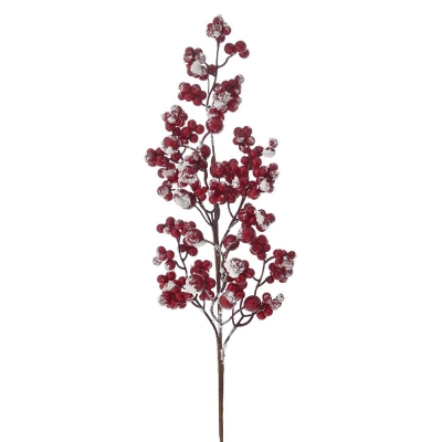      Berries 60 