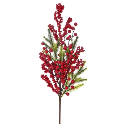    Berries 66 