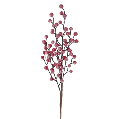    Berries 45 