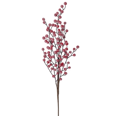    Berries 66 