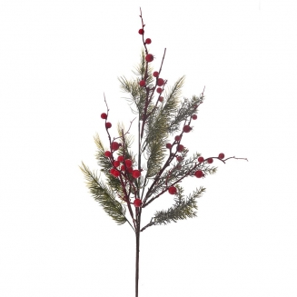 ����������������� ����� �� Berries 66 ��