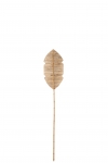     Bamboo 151  x 26   2  