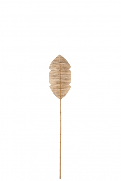    Bamboo 151  x 26   2 