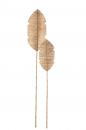     Bamboo 202  x 35 