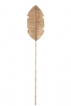     Bamboo 202  x 35 