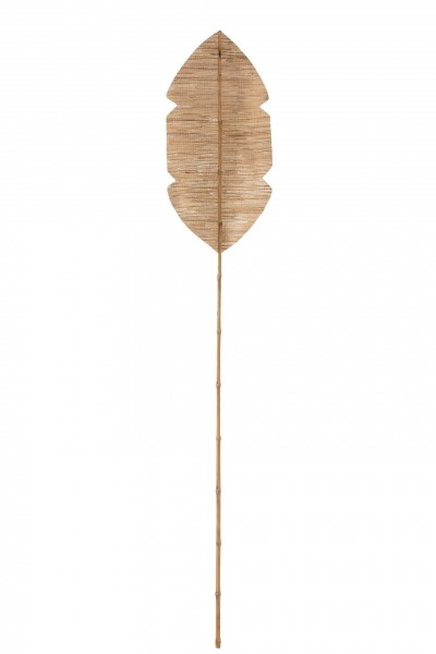    Bamboo 202  x 35