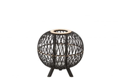  Bamboo 39  x 38 