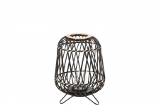    Bamboo   31  x 44  
