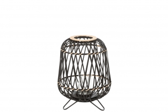   Bamboo   31  x 44 