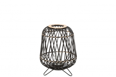   Bamboo   31  x 44 