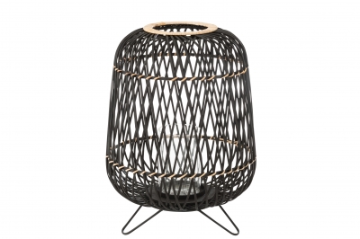   Bamboo   41  x 57 