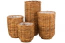    Bamboo 51  x 109  
