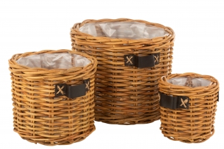   Bamboo  66 x 55