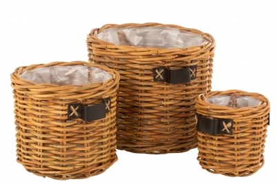   Bamboo  51 x 45,5