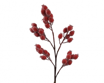    Berries 78 