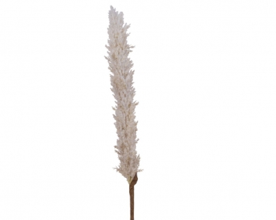   Pampas 110 
