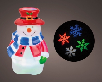  Projector     11 x 19