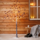     Birch 180 