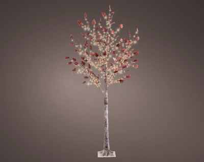    Birch 180