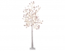     Birch 210 