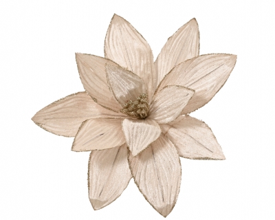     30