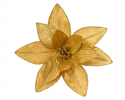     30