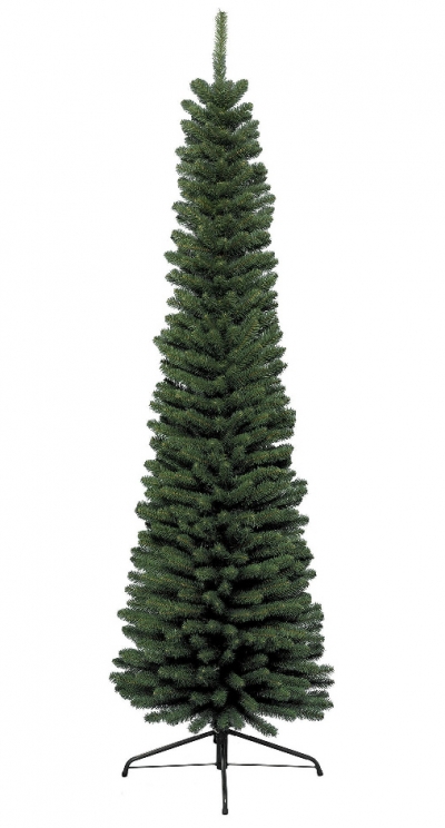   Pencil Pine 180 