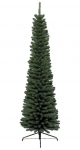    Pencil Pine 180  