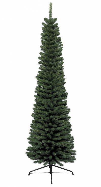   Pencil Pine 210 