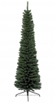    Pencil Pine 210  