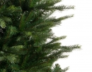    Grandis Slim Fir 210 