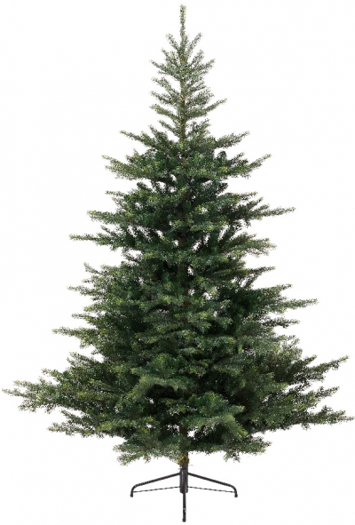   Grandis Fir 180 