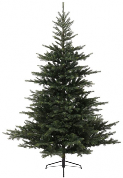   Grandis Fir Pvc 240 .