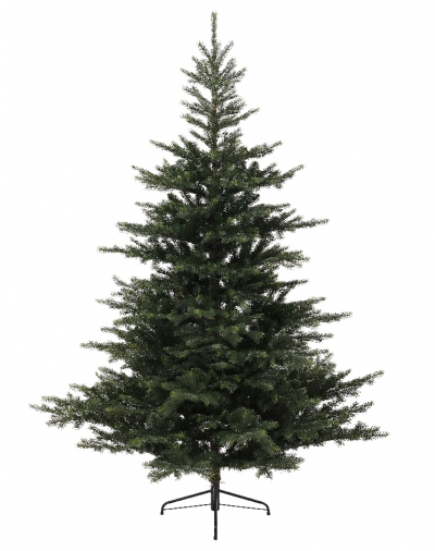   Grandis Fir  300 