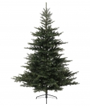    Grandis Fir  360  