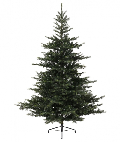   Grandis Fir  360 