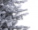    Grandis Slim Fir Frosted 210 