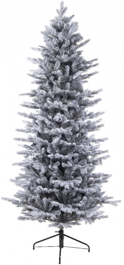   Grandis Slim Fir Frosted 240