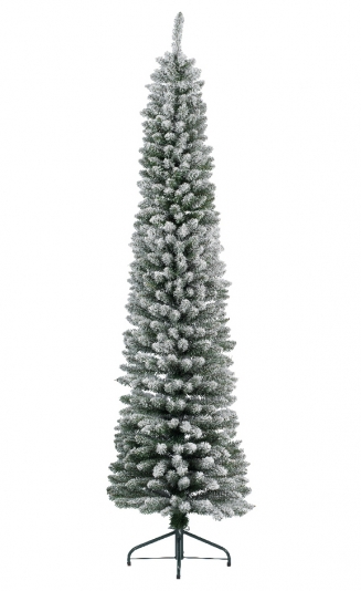    Pencil Pine 180 