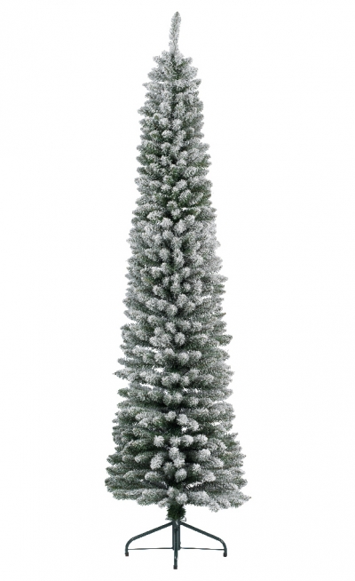    Pencil Pine 180 