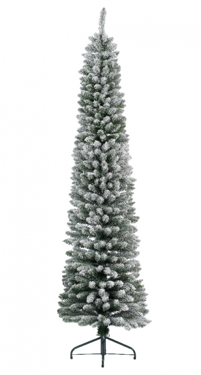    Pencil Pine 210 