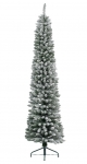     Pencil Pine 210  