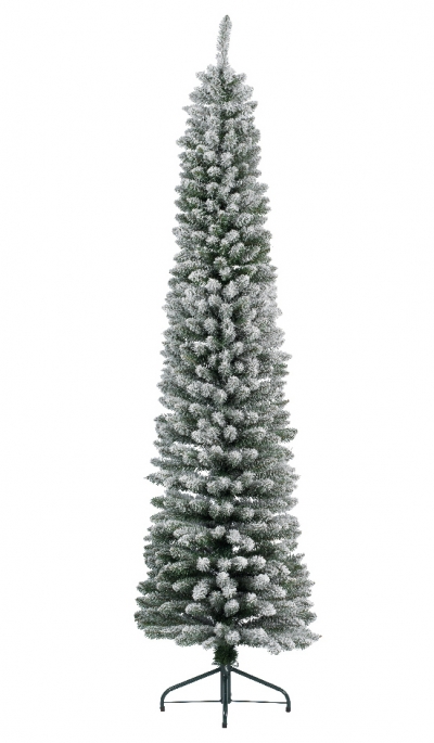    Pencil Pine 240 