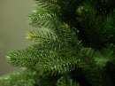    Freiburg Pine 180  