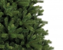    Freiburg Pine 210  