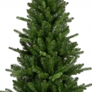    Killington fir 180  