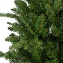    Killington fir 180  