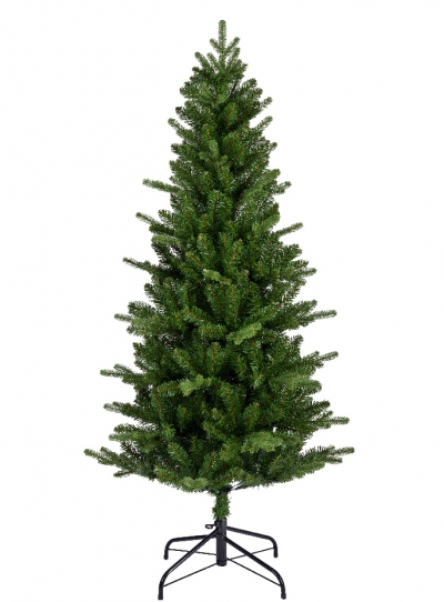   Killington fir 180 