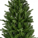    Killington fir 300  