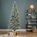   Killington fir Frosted 240  